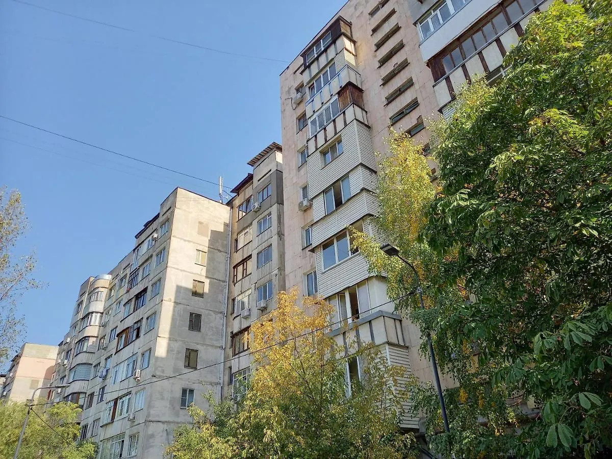 Картина горных вершин Квартира- Mountain view Apartment Алматы